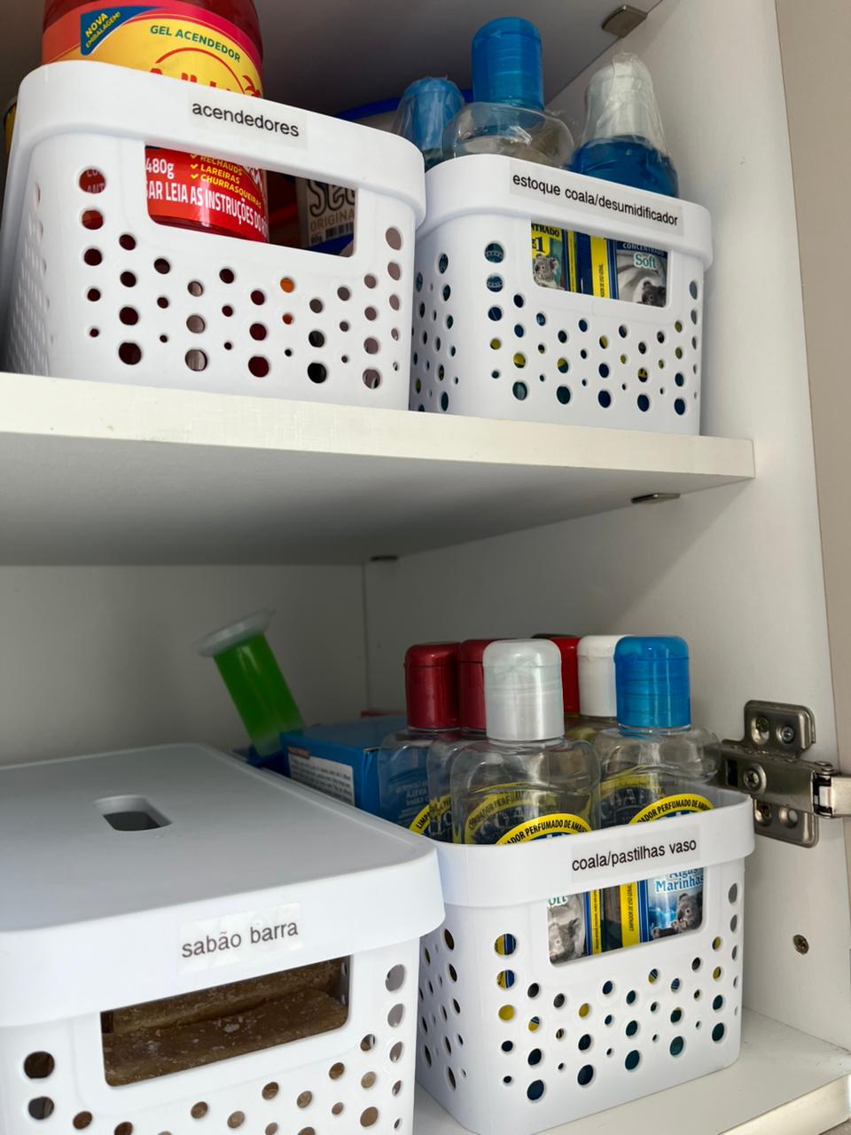 Produtos de limpeza organizados com etiquetas